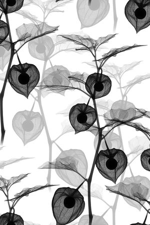 纸印花印花华亿平台图片