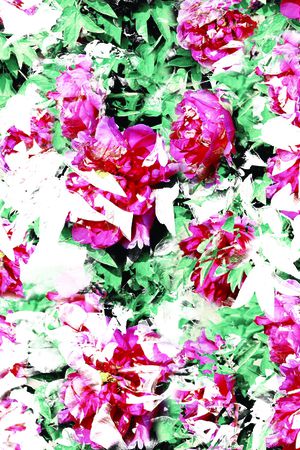 数码华亿平台印花华亿平台图片