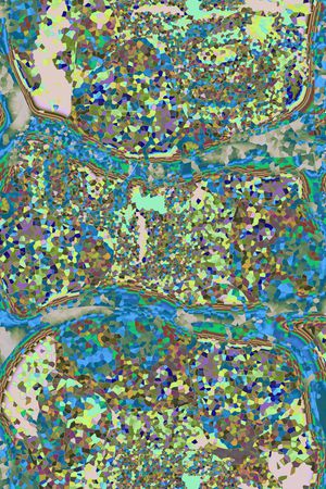 几何印花华亿平台图片