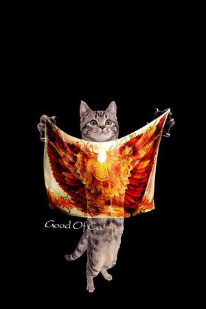 时尚印花华亿平台图片