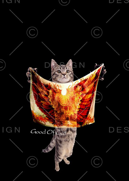 时尚印花华亿平台图片