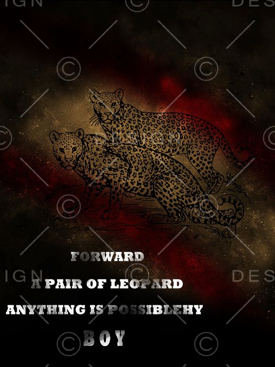 豹子印花华亿平台图片