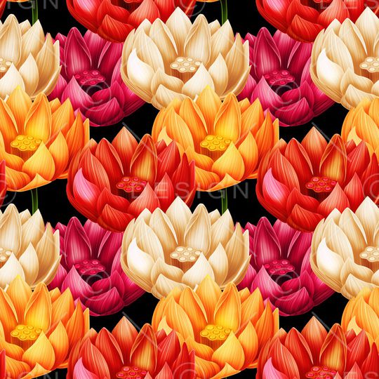 荷花印花华亿平台图片