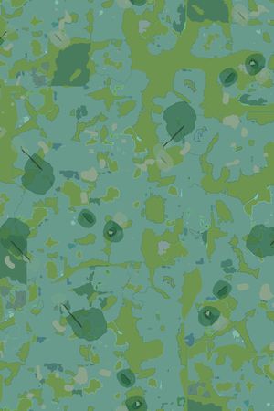 渐变印花华亿平台图片