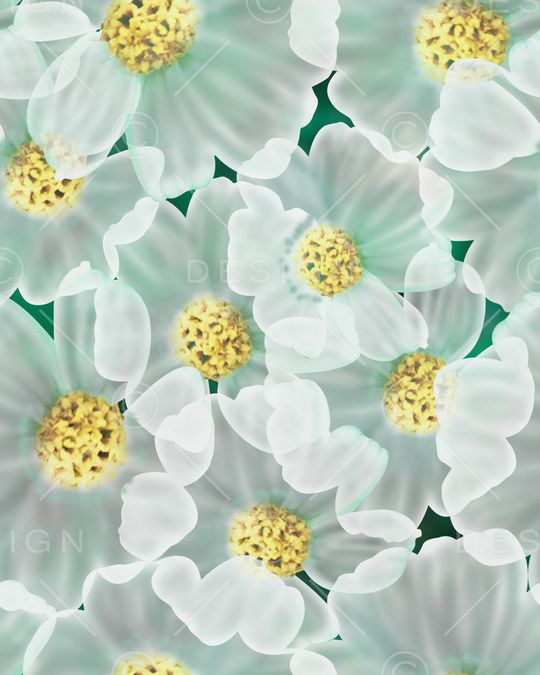 图案——服饰印花华亿平台图片