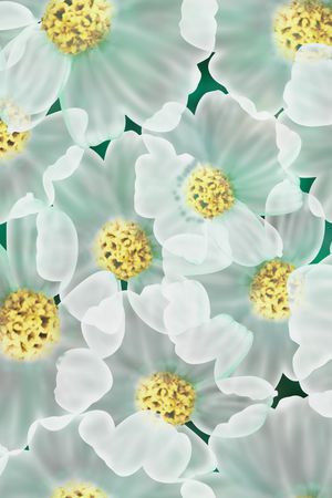 图案——服饰印花华亿平台图片