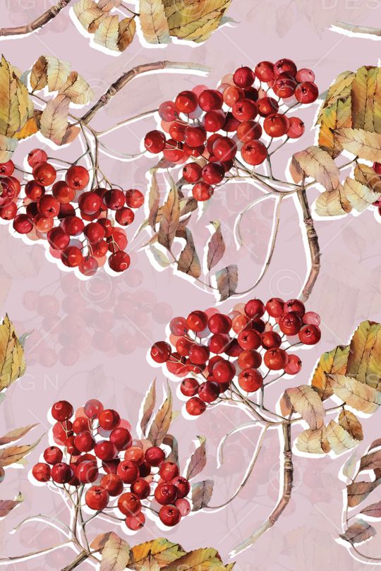 高档女装印花华亿平台图片