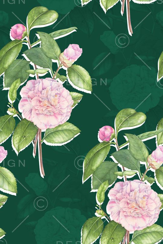 高档女装印花华亿平台图片