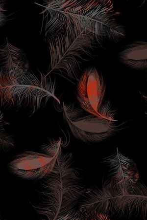 羽毛印花华亿平台图片