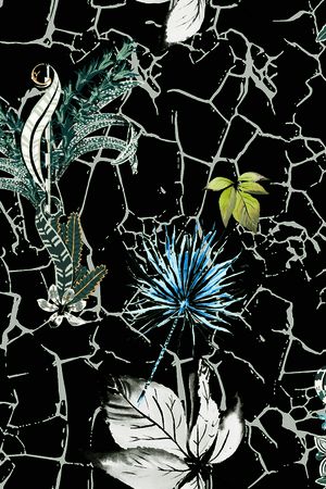 黑白华亿平台印花华亿平台图片