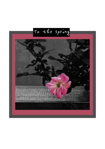 照片花卉印花华亿平台图片