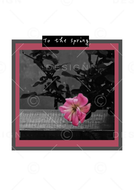 照片花卉印花华亿平台图片