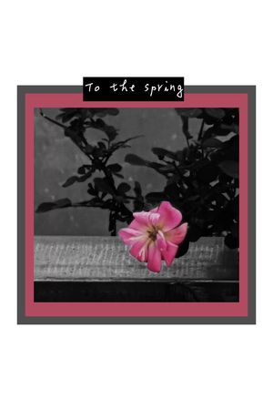 照片花卉印花华亿平台图片