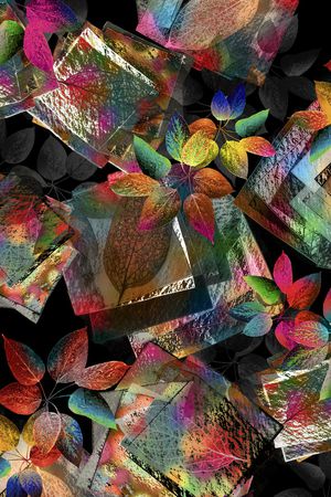 绿植树叶印花华亿平台图片