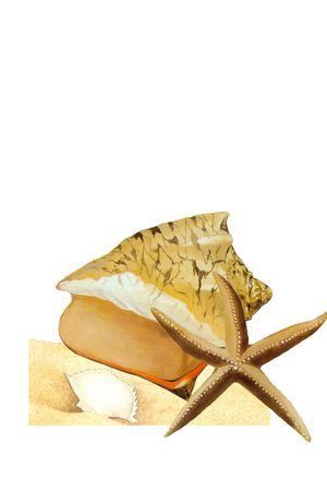 海星印花华亿平台图片