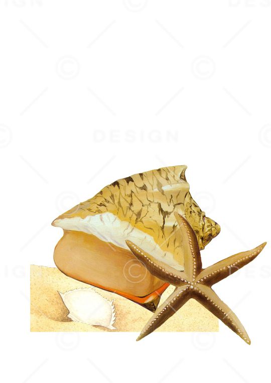 海星印花华亿平台图片