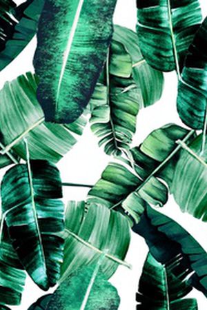 棕榈树印花华亿平台图片