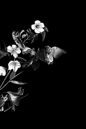 定位花印花华亿平台图片