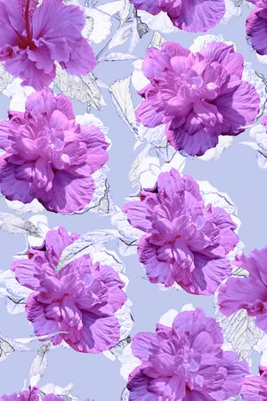 数码华亿平台印花华亿平台图片