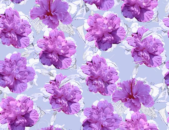 数码华亿平台印花华亿平台图片