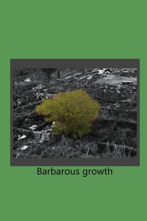 颜色印花华亿平台图片