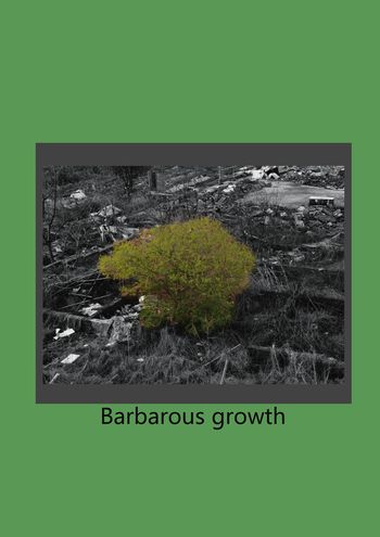 颜色印花华亿平台图片