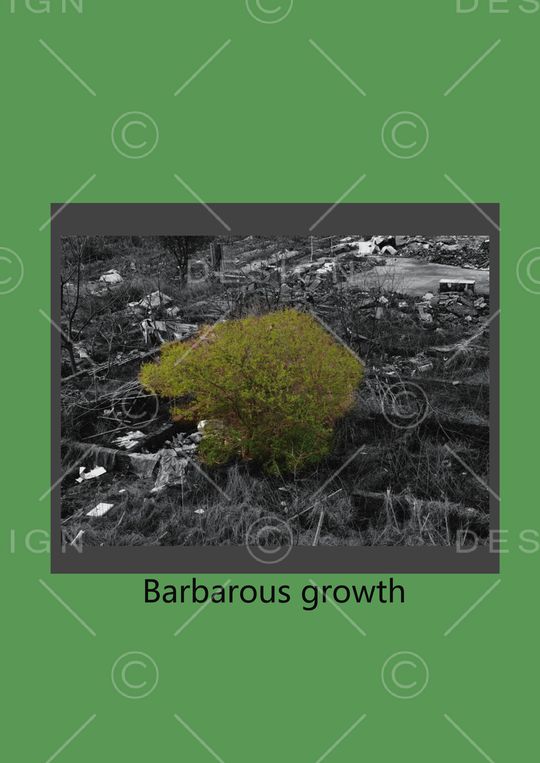 颜色印花华亿平台图片