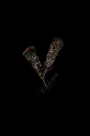 羽毛印花华亿平台图片