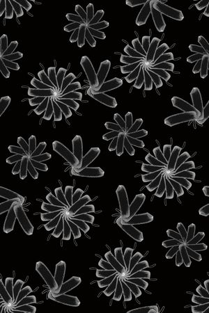 简约印花华亿平台图片