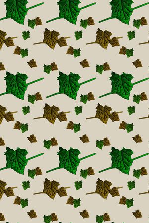 年轻女性印花华亿平台图片