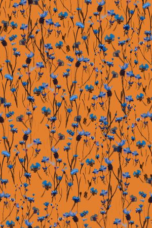 大牌风印花华亿平台图片