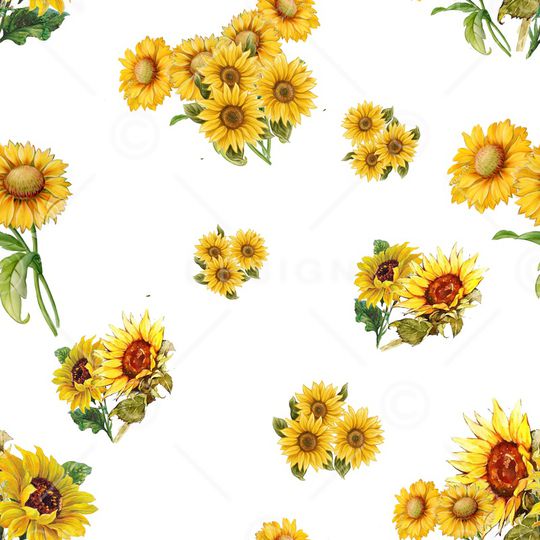 白底花印花华亿平台图片