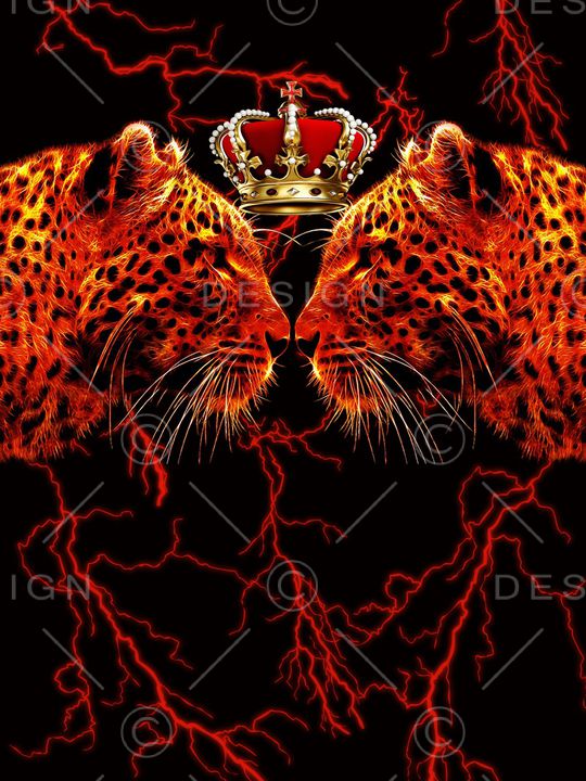 男装定位花印花华亿平台图片