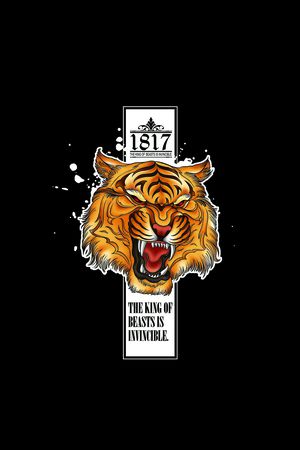 渐变印花华亿平台图片