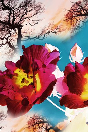 方巾印花华亿平台图片