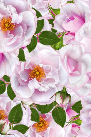 纸印花印花华亿平台图片