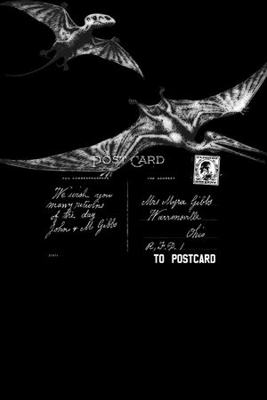 恐龙印花华亿平台图片