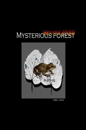 字母印花华亿平台图片