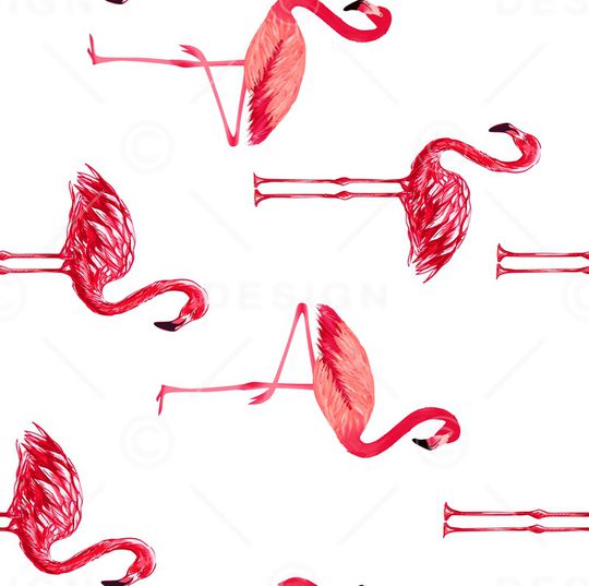 火烈鸟印花华亿平台图片