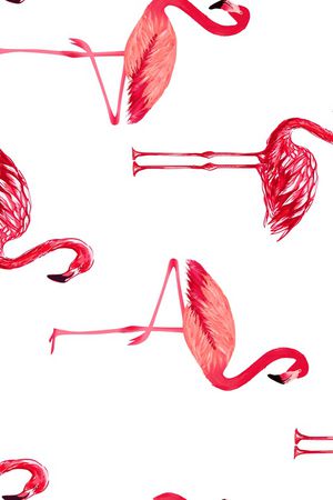 火烈鸟印花华亿平台图片