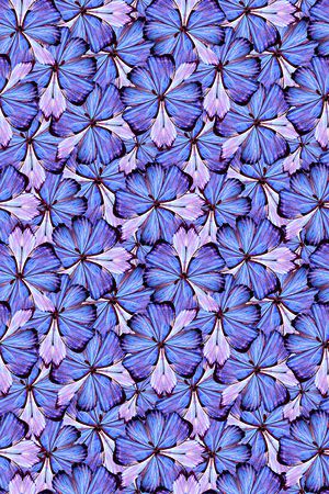 文艺印花华亿平台图片