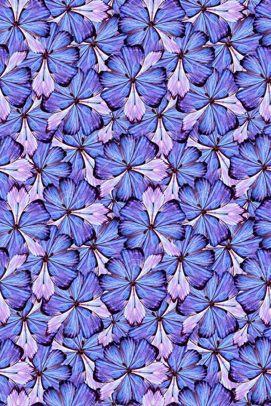 文艺印花华亿平台图片