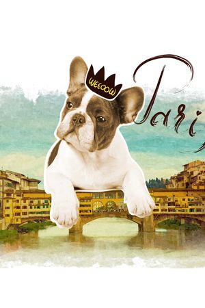 简约印花华亿平台图片