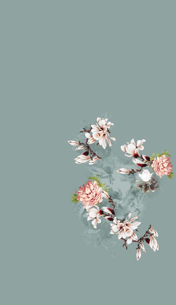 1313864-mys-w-202691