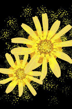 连衣裙印花华亿平台图片