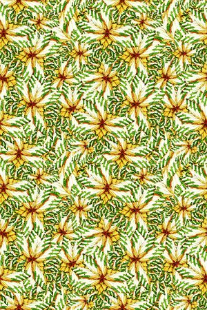 文艺印花华亿平台图片