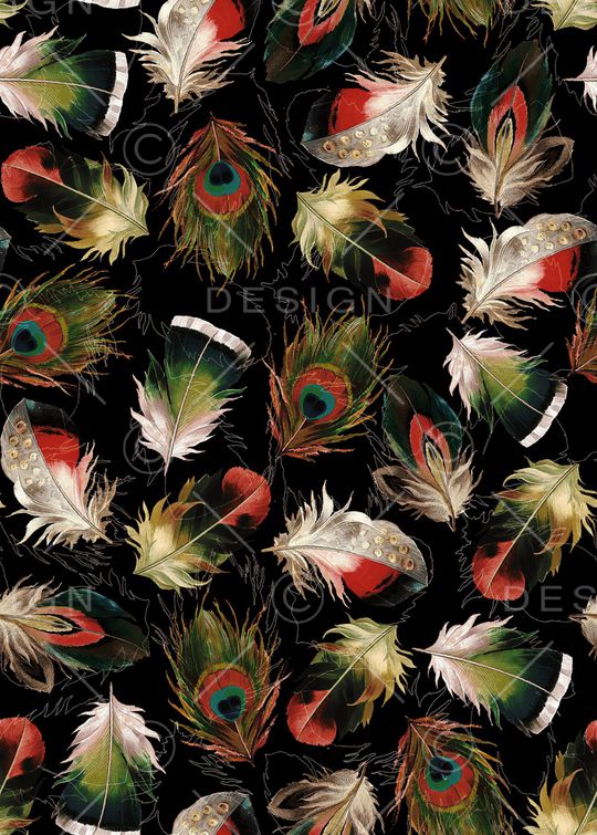 鸟羽毛印花华亿平台图片