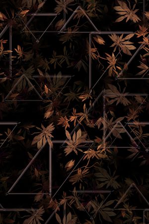 黑白华亿平台印花华亿平台图片