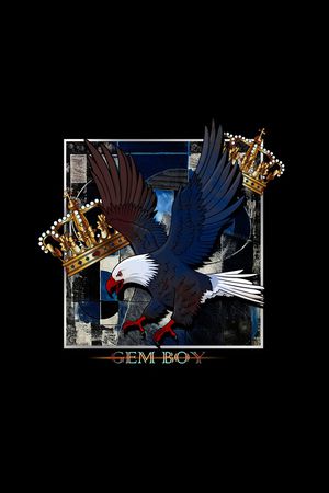 珠宝宝石印花华亿平台图片