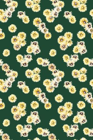 小雏菊印花华亿平台图片